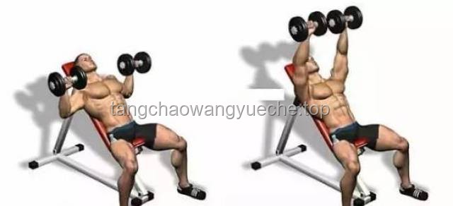 卧推时，重量与动作标准，我如何找到平衡？🏋️‍♂️, 动作标准, 重量选择, 健身教训, 安全第一